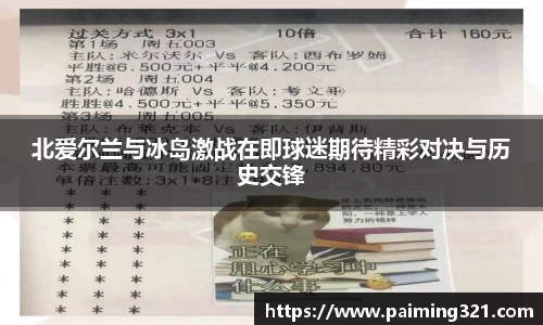 北爱尔兰与冰岛激战在即球迷期待精彩对决与历史交锋